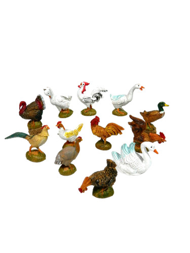 Animali cortile pz - cortile, 12