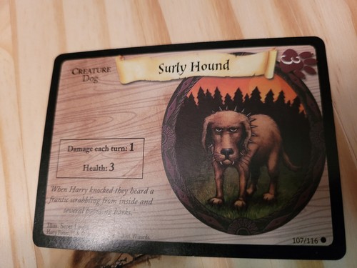 Harry potter tcg 107 - potter, #107
