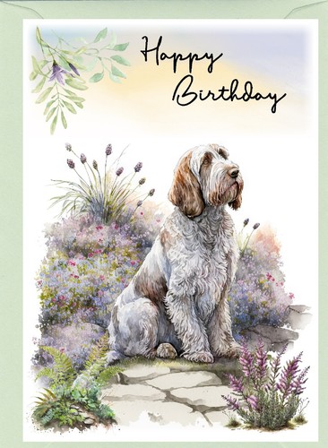 Biglietto compleanno cane - compleanno,