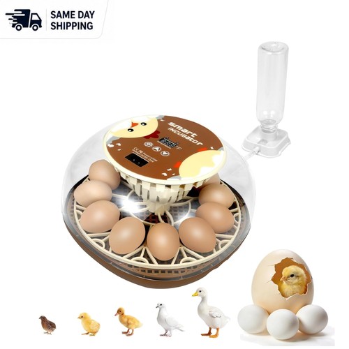 Series egg automatic - series,