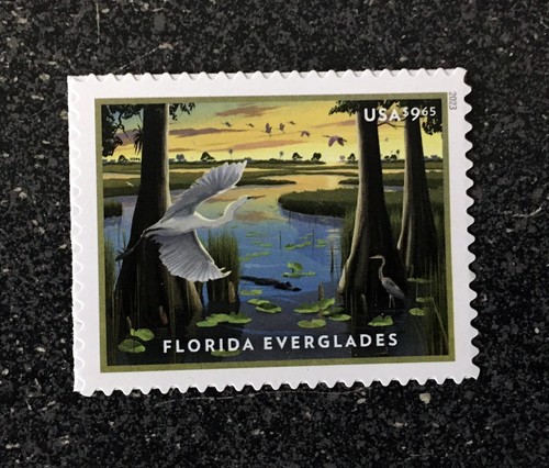 2023usa 5751 65 - 2023usa, florida