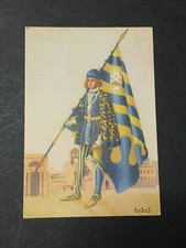 PALIO DI SIENA TARTUCA PITTORE GUALTIERO ANICHINI