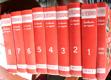Tesoro del ragazzo - il,