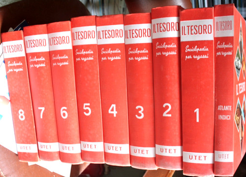 Tesoro del ragazzo - il,