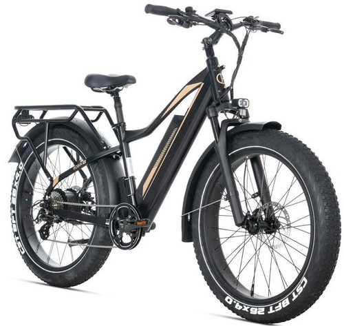 Bike bici elettrica fat - elettrica,