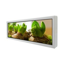 Monitor LCD 8,8" 480x1920 600