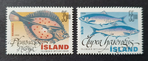 1999 islanda isola - isola,
