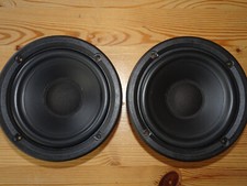 Driver/Woofer di ricambio