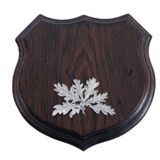 1Wappenschild Cinghiale Af 17cm Scudo Trofeo Forma Stemma Foglie di Quercia