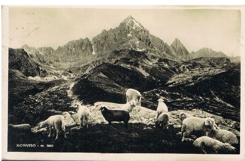 Bella cartolina viaggiata - fp,