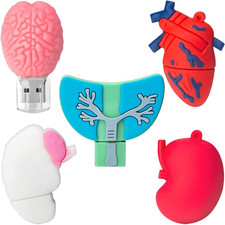 Pezzi 8gb usb pen drive - 8gb,