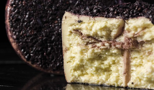Pecorino sbronzo di - sbronzo",
