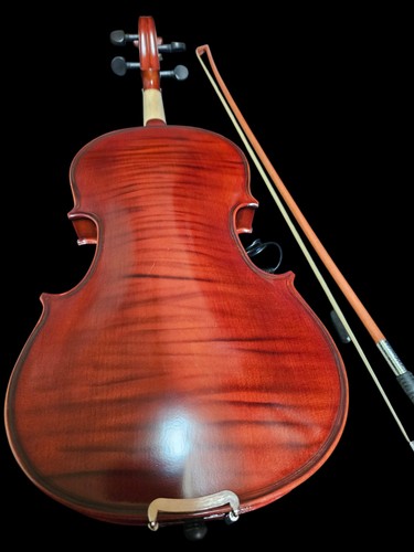 Violino acustico elettrico - violino, acustico/elettrico