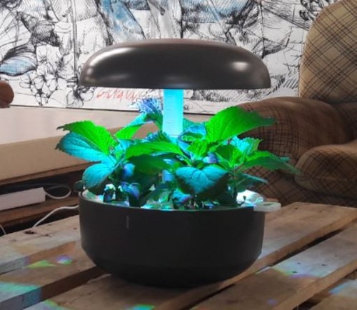 Plantui smart garden - plantui,