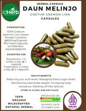 CAPSULA FRESCA DAUN MELINJO