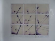 Maurizio GALIMBERTI; "Berlin"