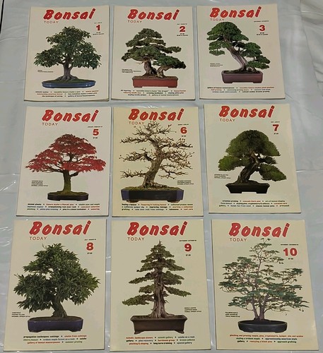 Bonsai today magazine lot - bonsai, 9