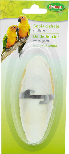 Osso seppia per - osso, uccello