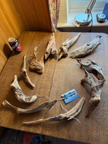 Driftwood pezzi forme - 10,