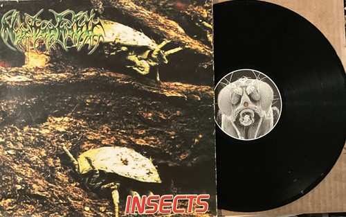 Nyctophobic insects lp - nyctophobic,