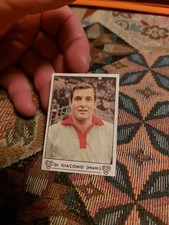 Figurina Panini Calciatori