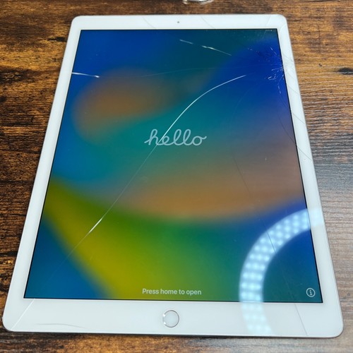 Apple ipad pro bianco - ipad,
