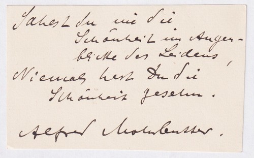 Alfred mohrbutter pittore - mohrbutter,