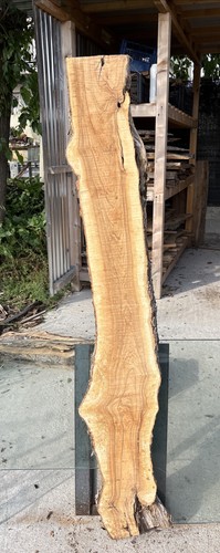Tavola legno ulivo - di,