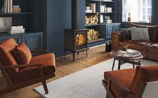 Stufa a legna JOTUL F 200 ECO