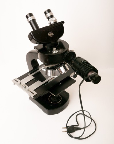 Microscopio vintage wild - microscopio,
