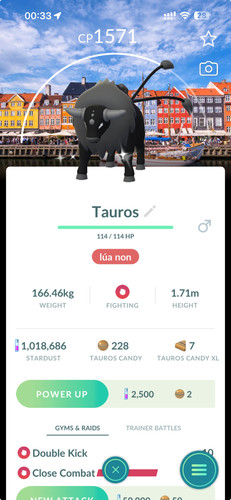 Pokémon shiny tauros - pokémon,