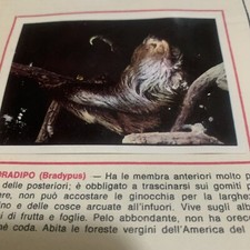 FIGURINA N. 171 ANIMALI ED