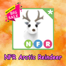 Renna artica NFR - Negozio
