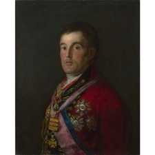 Francisco de Goya - Il Duca di Wellington - Parete in tela laminata 24x32 pollici...