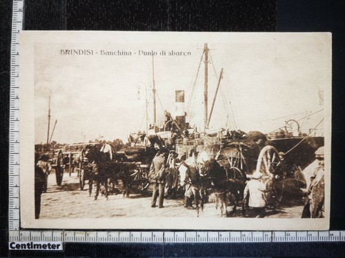 560 brindisi banchina - banchina, punto