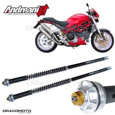 DUCATI Monster 1000 S2R