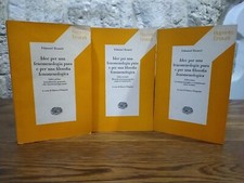 Idee per una fenomenologia