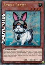 RESCUE RABBIT (Coniglio Da