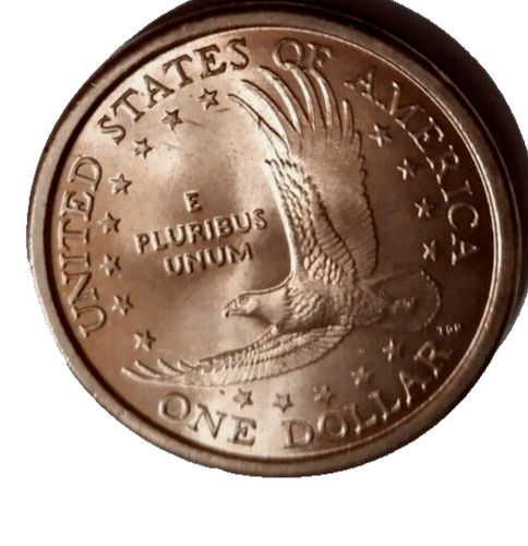 Sacagawea dollaro 2000 - 2,
