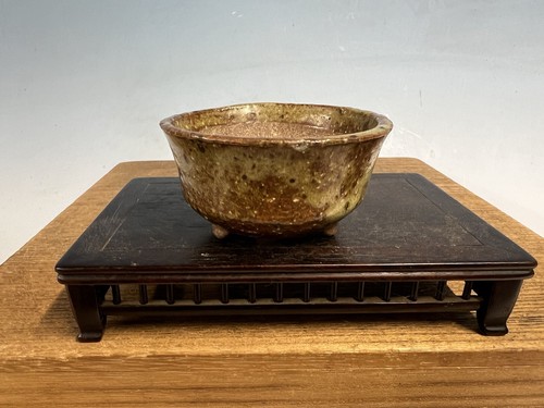 Vaso per bonsai - , dimensioni