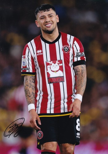 Calcio gustavo hamer - -,