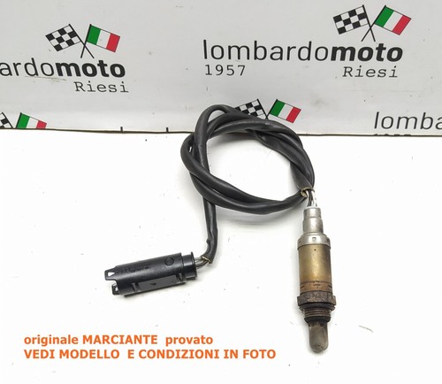 Sonda lamba lambda lambada - ,