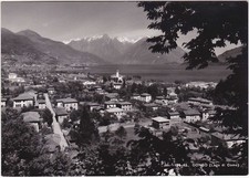 DONGO - COMO -98540-