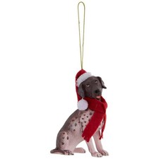 German Shorthair Pointer