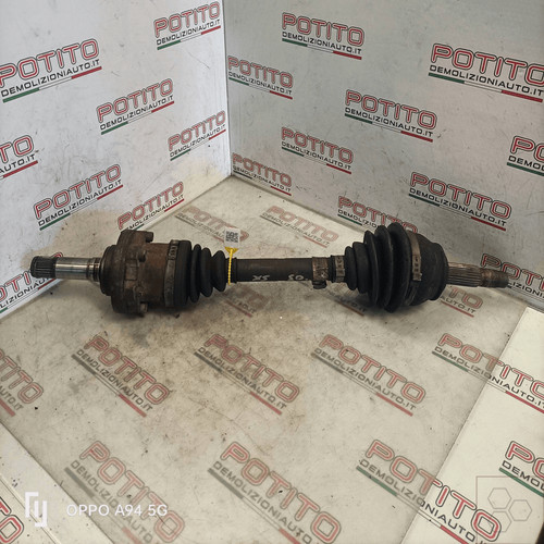 46307687 semialbero ant - semialbero,