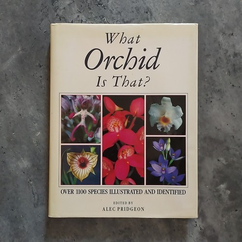 1100 specie orchidee - 1100,