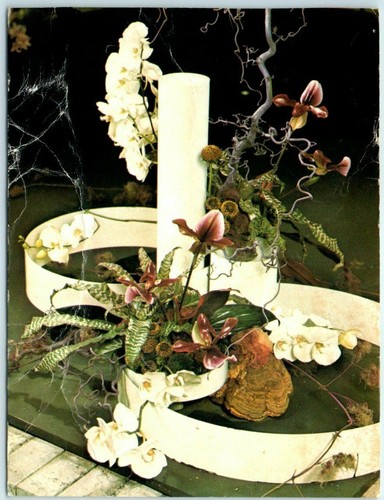 Cartolina orchidee e - -,