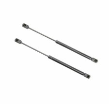 Coppia Ammortizzatori Molle a