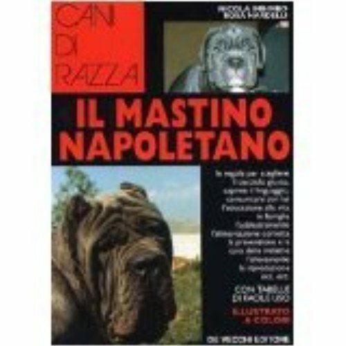 Mastino napoletano - il,