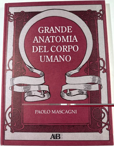Grande anatomia del - grande,
